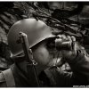 mg 446